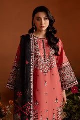 Rust Embroidered 3 Pc Pima Lawn Suit